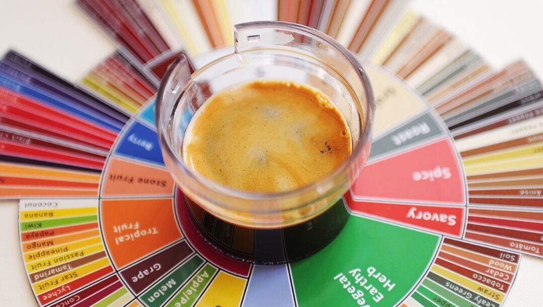 What does the best coffee from 10 regions around the world taste like?